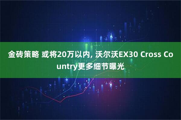 金砖策略 或将20万以内, 沃尔沃EX30 Cross Country更多细节曝光