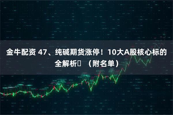 金牛配资 47、纯碱期货涨停！10大A股核心标的全解析​（附名单）